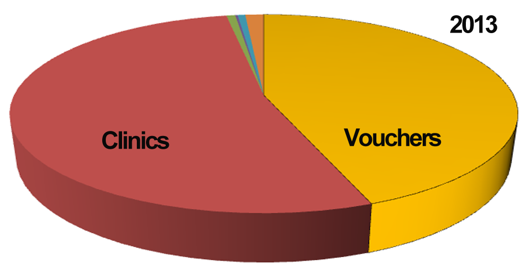 Expenditure Chart 2013
